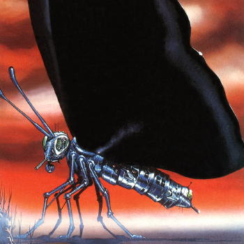 Metal Butterfly 1973